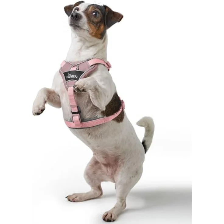 HUNTER Geschirr Divo Up schwarz S-M, Hundegeschirr mit ergonomischer Passform und 3M Scotchlite Reflective Material – Bild 9