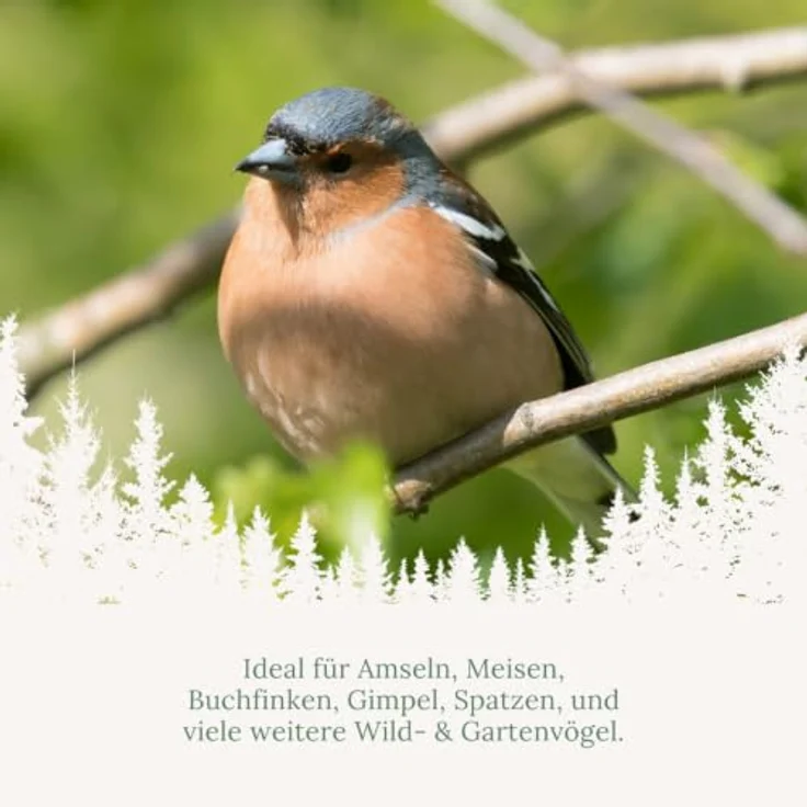 Orni Futterspirale für Wildvögel 470g | Premium Ganzjahres Vogelfutter mit Erdnüssen, Sonnenblumenkernen und Haferflocken | Aufhängbar für Meisen, Finken und Sperlinge – Bild 3