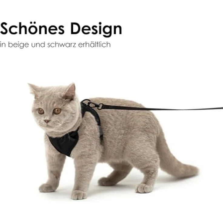 LucyBalu® Explorer Katzengeschirr mit Leine, ausbruchsicheres Sicherheitsgeschirr mit AirTag Fach, verstellbar, Größe Leo M/L – Bild 5