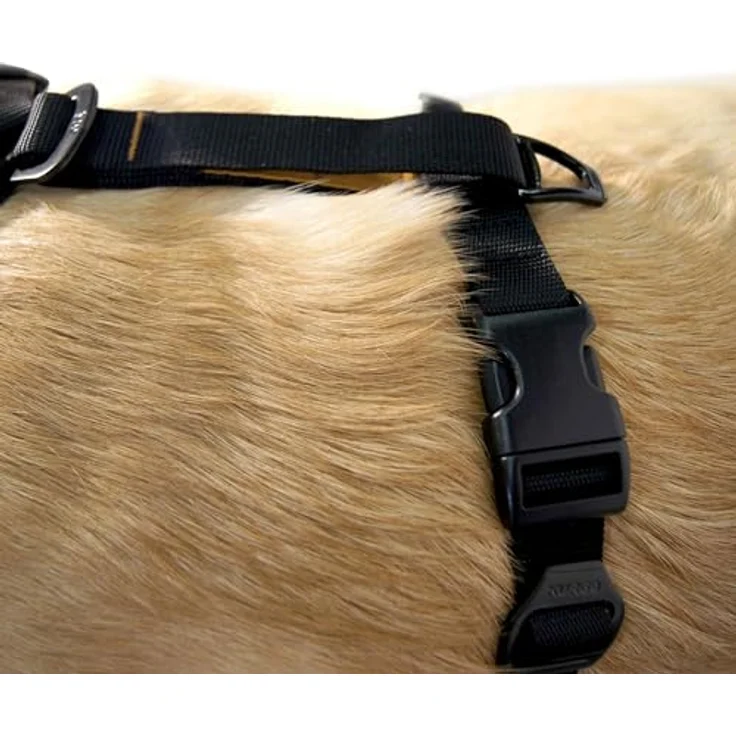 Kurgo TRU-Fit Intelligentes Hundegeschirr, Verstellbares Geschirr mit Sicherheitsgurt-Schlaufe und reflektierender Tierbekleidung, Schwarz, Klein – Bild 4