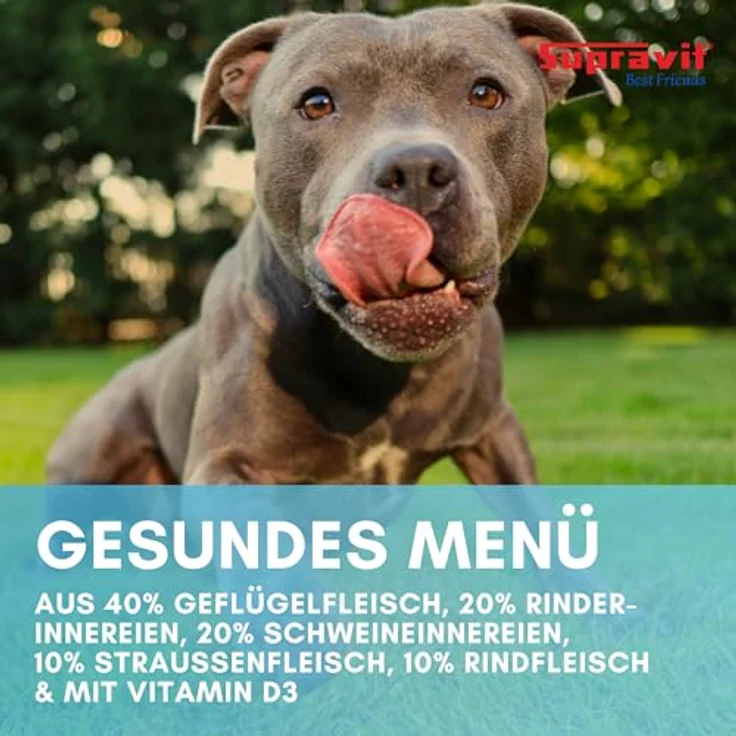 Supravit Nassfutter für Hunde, 12 x 410g Dosen mit Strauß, getreidefreies Hundefutter für ernährungssensible Hunde – Bild 4