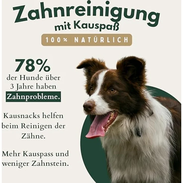 Hunde Helden BREERs Getrocknete Rinderohren mit Muschel, 2 Kg, Luftgetrocknete Hundesnacks für große und mittlere Hunde, FSC-zertifiziert – Bild 4