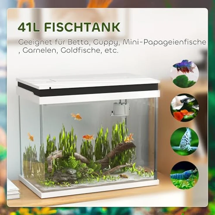 PawHut Aquarium 41 Liter, Glas-Aquarium mit Filtersystem, LED-Lichtern und Wasserpumpe, kompaktes Design in Weiß für verschiedene Fischarten – Bild 4