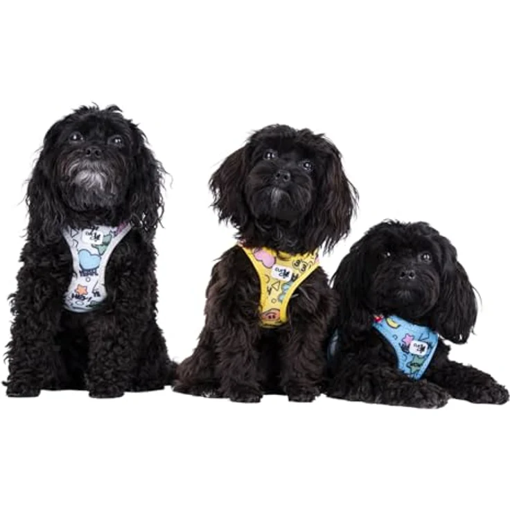 Curli Clasp Vest Geschirr Limited Edition 25, Hunde-Geschirr mit Air-Mesh-Material, schwarzer Comic-Design, reflektierenden Streifen und innovativem Clasp-Verschluss – Bild 2