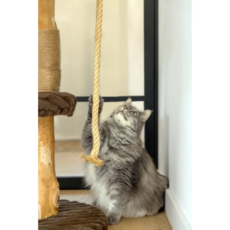 Designed by Lotte Kratzbaum Reya, aus Dattel- und Birnbaumholz für Katzen bis 10 kg, braun – Bild 4