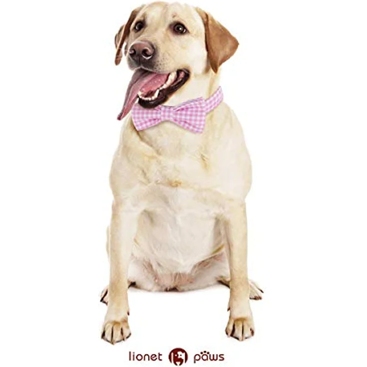 Lionet Paws Hundehalsband mit Fliege, Langlebiges Baumwollhalsband mit Metall-Klickverschluss, für Hunde, Hals 40-60cm – Bild 5