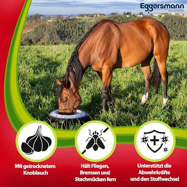 Eggersmann Mein Pferdefutter Profi Knoblauch Plus 1 kg – Ergänzungsfuttermittel gegen Fliegen, Bremsen & Stechmücken – Unterstützt Stoffwechsel & Immunabwehr – Bild 2
