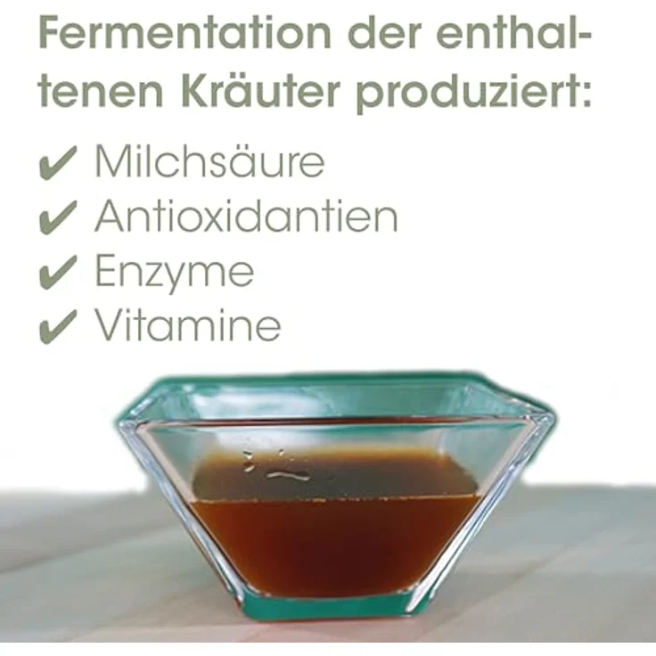 cdVet EquiGreen DarmAktiv, Ergänzungsfuttermittel für Pferde zur Unterstützung der Darmflora, 1 l, fermentiert, zuckerfrei, milchfrei – Bild 3
