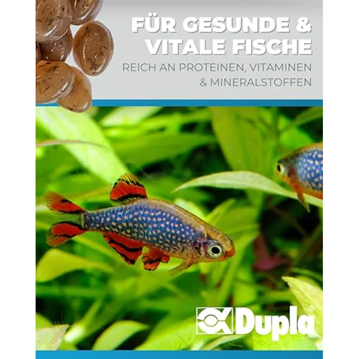 Dupla Gel-O-Drops Red Mosquito I 12 x 2 g I Nährstoffreiches Geleefischfutter mit roten Mückenlarven I Leicht dosierbar und ungekühlt lagerbar – Bild 3