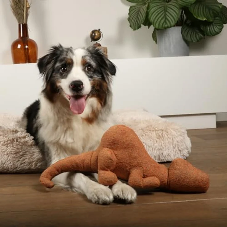 D&D Home Quiasi Hundespielzeug aus Chenille, 41 x 20 x 13 cm, braun, mit verknotetem Seil und robustem Innenstoff, niederländisches Design – Bild 5