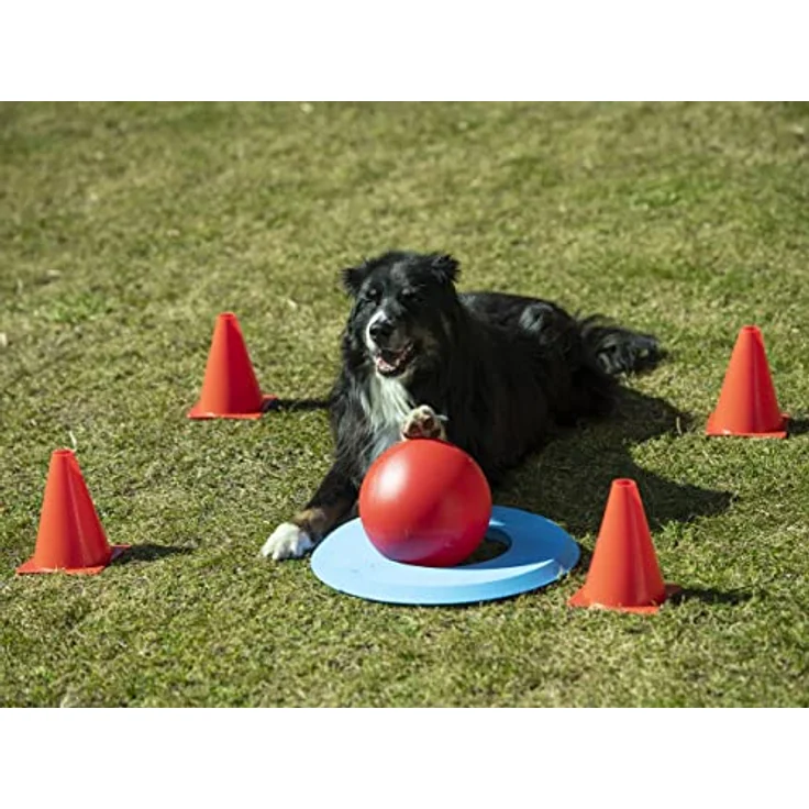 Procyon Tier-Intelligenzspielzeug Hunde Golf (Doggie-Golf Basis Set), Kunststoff, Packung (7-tlg) - Sportliche Herausforderung für aktive und clevere Hunde – Bild 4