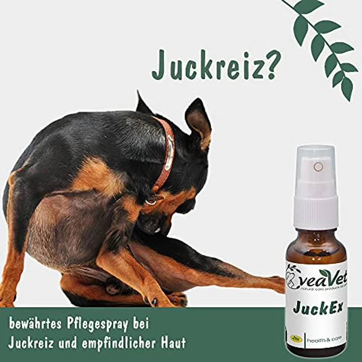 cdVet VeaVet JuckEx Pflegespray, 100 ml - natürliche Hautpflege bei Juckreiz für Hunde, Katzen und Pferde – Bild 2