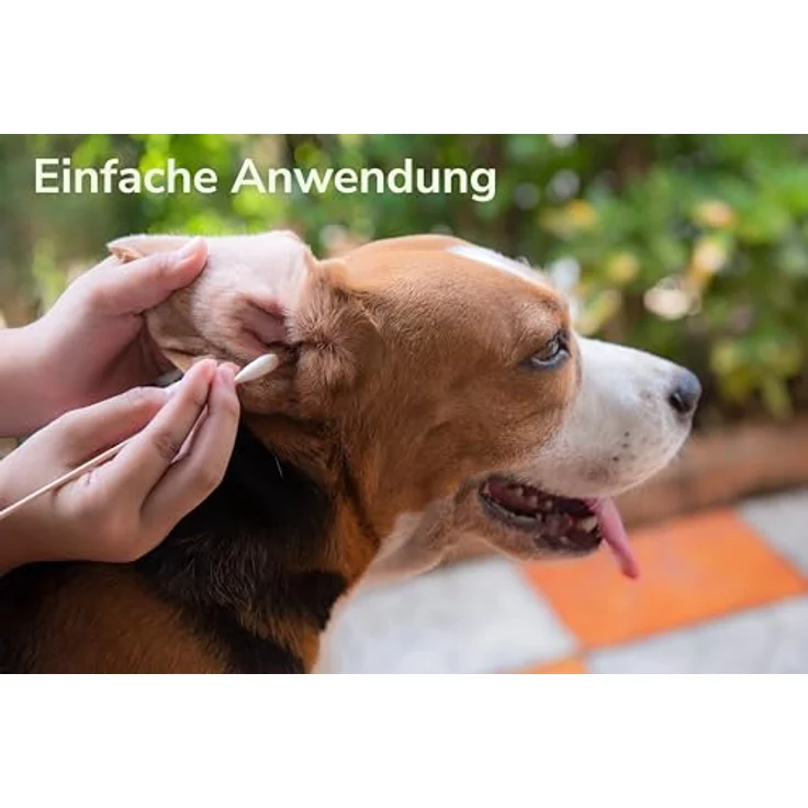GREENDOOR Ohrenpflege für Hunde mit kolloidalem Silber, 50 ml, natürliche Formel mit Urea, Borretschöl und Salbeiöl, Glasflasche mit Pipette, sanfte Pflege und Akutanwendung – Bild 4