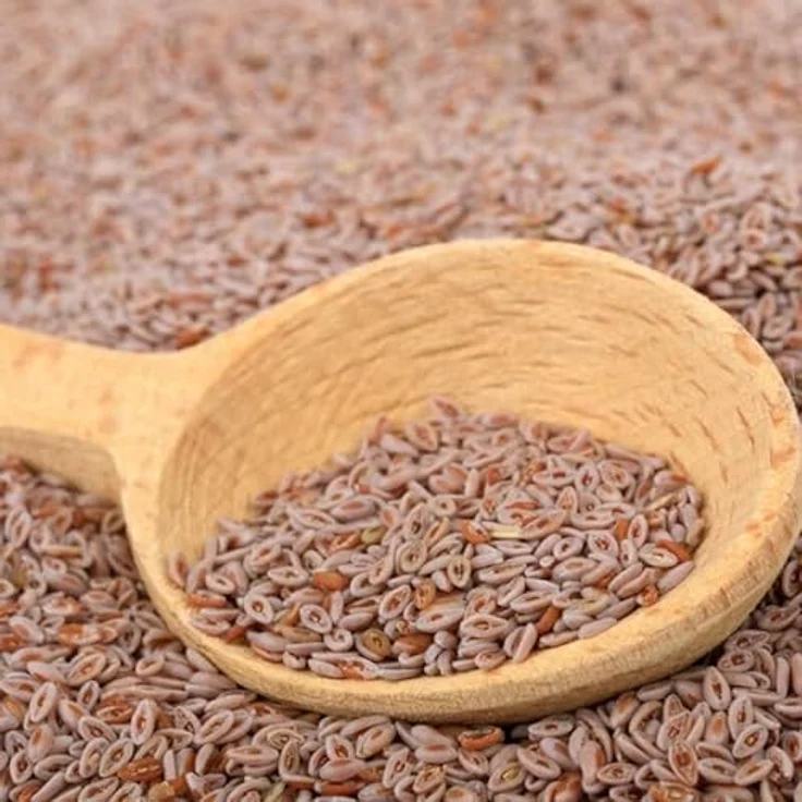 Barbara Seitz Vitality Flohsamen ganz Pferde, 1000 g, zur Unterstützung der Verdauung bei Kotwasser und Sandausscheidung, naturrein und ohne Zusatzstoffe – Bild 2