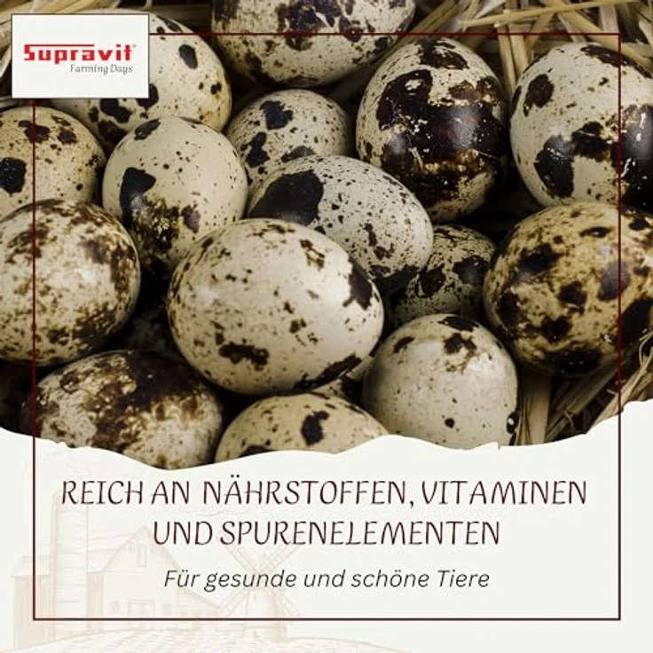 Supravit Wachtelfutter 25kg, Vollwertige Körnermischung für Wachteln und Hühner, ohne Zusatzstoffe, Hergestellt in Deutschland – Bild 4
