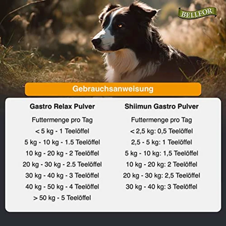 Bellfor Sparset für Hunde mit Verdauungsproblemen, Gastro Relax Pulver 80g + Shiimun Gastro Pulver 50g, natürliche Ergänzungsfuttermittel ohne künstliche Zusätze – Bild 6