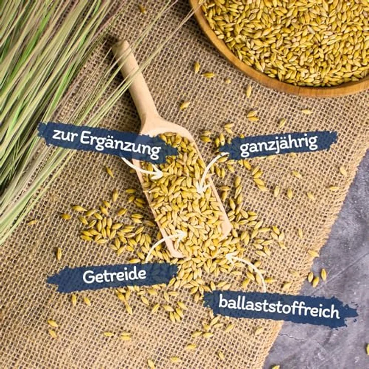 Lyra Pet® Gerste ungeschält 25 kg, Ergänzungsfutter für Wildvögel & Kleinnager, reich an Ballaststoffen und Proteinen, 100% Naturprodukt – Bild 2