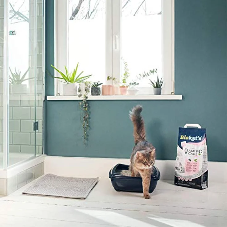 Biokat's Diamond Care Fresh, feine Katzenstreu mit Aktivkohle und Aloe Vera, 8 L, mit Babypuder-Duft – Bild 5