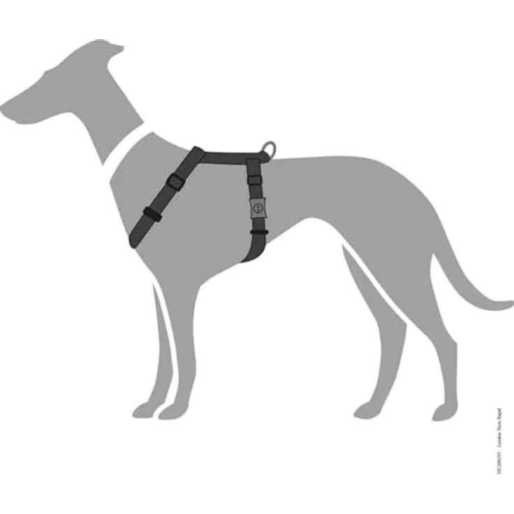 Hunter Hunde-Geschirr London VarioRapid schwarz XXS 1 – Bild 5