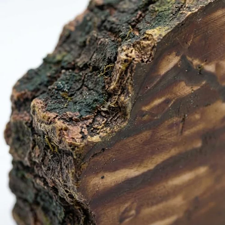 relaxdays Aquariendeko Baumstamm, detailreiche Dekoration aus ungiftigem Polyresin, Braun, für Süß- und Meerwasserbecken, Maß: 5,5 x 13,5 x 9 cm – Bild 7