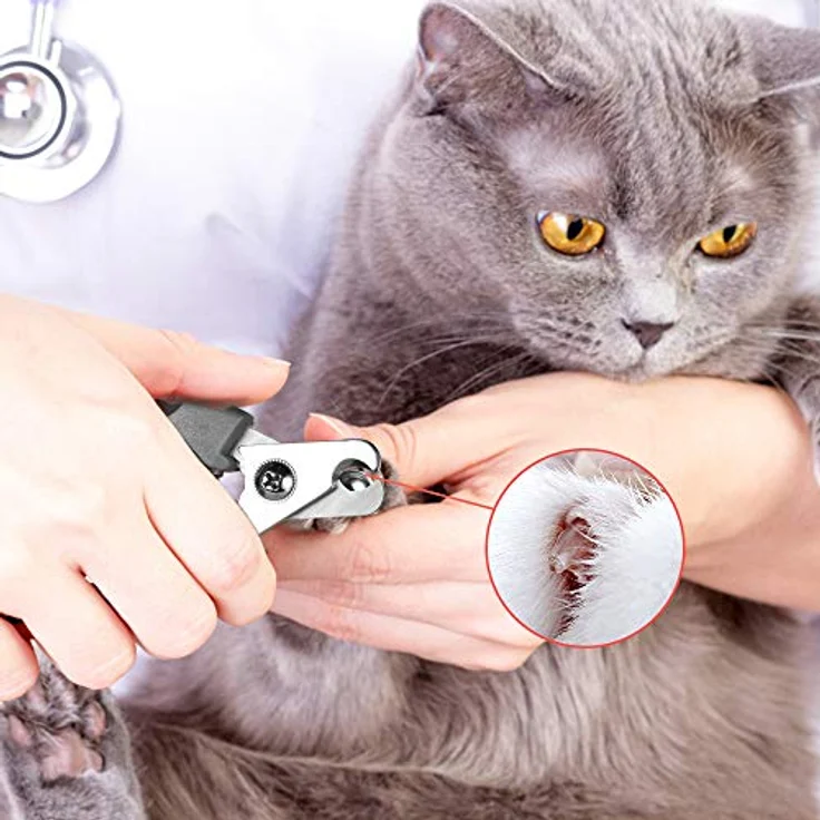 Tpotato Edelstahl Krallenschere für Hunde und Katzen, Profi Nagelknipser mit Sicherheitsschutz, ergonomischem Griff und Krallenfeile, leise und sicher für alle Rassen – Bild 5