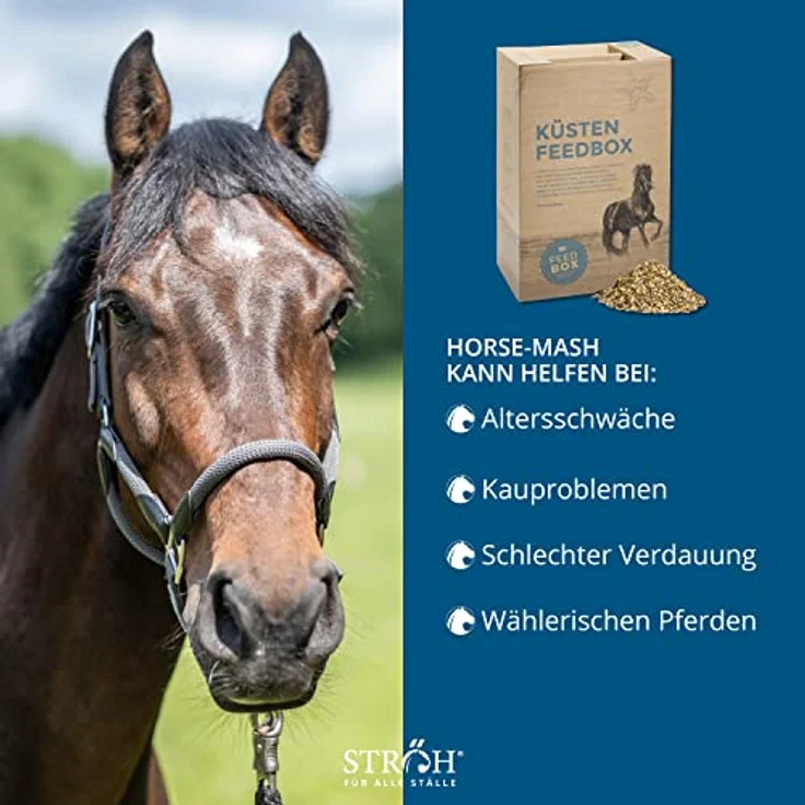 STRÖH Horse Mash Pferd (27kg Feedbox) • Ergänzungsfutter für gesundes Fell, Verdauung & Stoffwechsel • Staubfrei mit Bierhefe, Kieselgur & Leinsamen – Bild 3