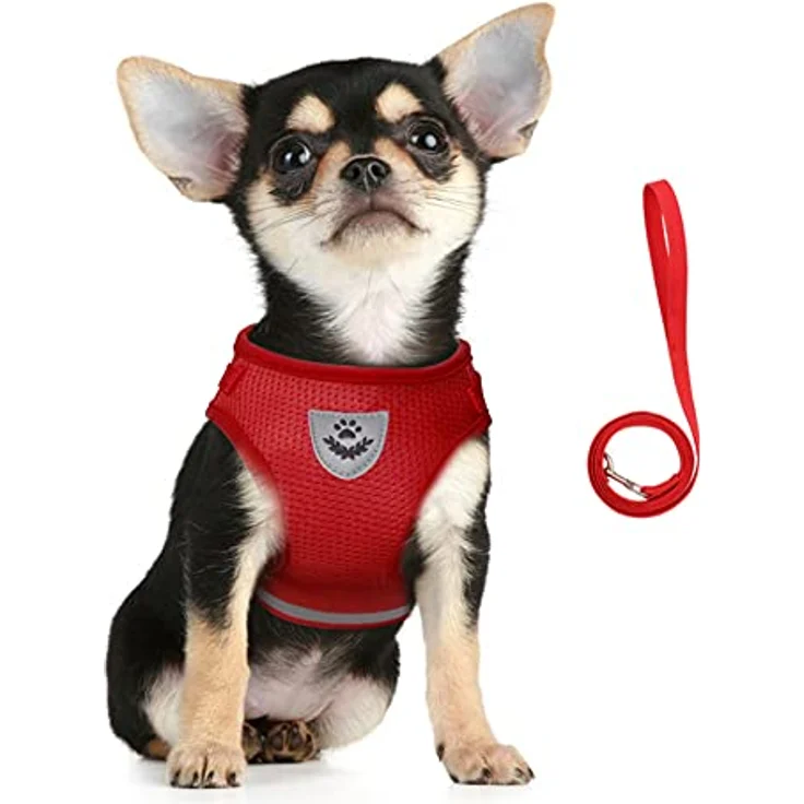 FEimaX Hundegeschirr und Leinen Set, weich gepolstert aus atmungsaktivem Mesh, reflektierend und verstellbar, ideal für Welpen und Katzen, geeignet für Gehen, Laufen und Training – Bild 1