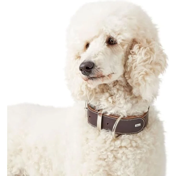 Hunter Hunde-Halsband Aalborg Special dunkelbraun XS – Bild 7