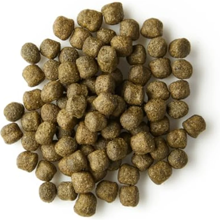 KOIPON Performance Koifutter 2 kg, 3 mm Sommerfutter mit 6% Spirulina für strahlende Farben – Bild 5