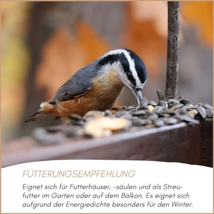 Supravit Balkonfutter für Wildvögel 25kg – Premium schalenfreies Wildvogelfutter mit Sonnenblumenkernen, Erdnüssen, Haferflocken & Rosinen, ganzjährig und wintertauglich – Bild 5