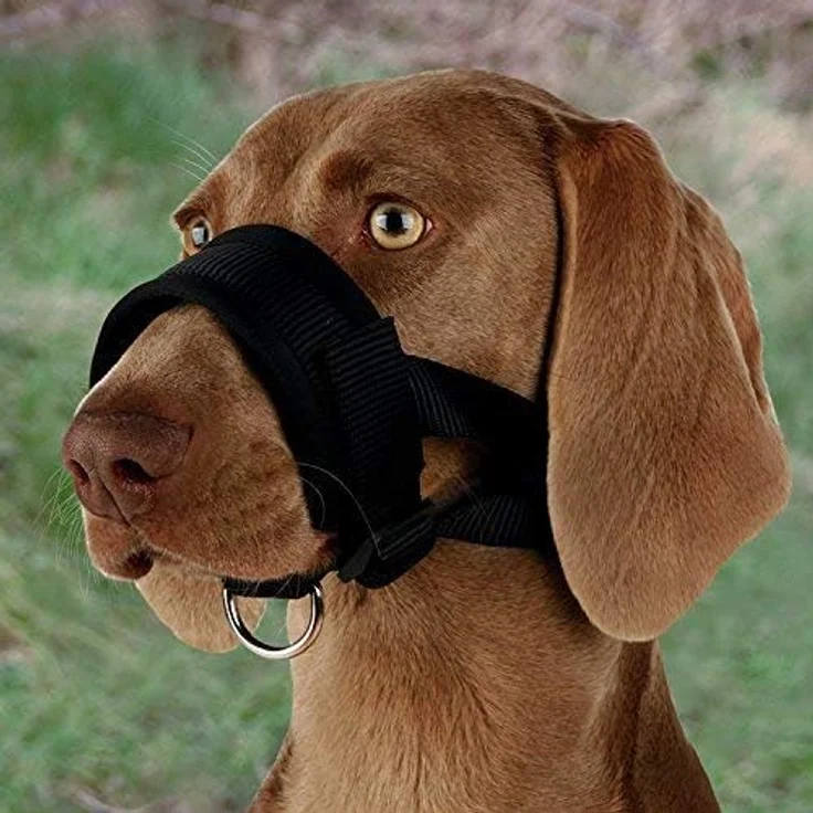 Trixie Maulschlaufe Nylon schwarz XL: 23 - 34 cm – Bild 4