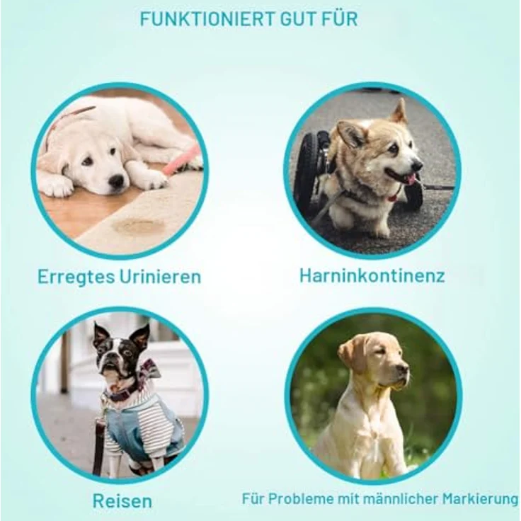Flying Paws Rüdenwindel S, 52 Stück Einweg-Hundewindeln für kleine Rüden, super saugfähig, Passform 30-48 cm, atmungsaktiv mit pfotendesign – Bild 4