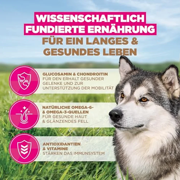 Eukanuba Senior Hundefutter, getreidefrei mit Fisch für große Rassen, 12 kg, Premium Trockenfutter ohne Getreide für ältere Hunde, unterstützt Gelenke und gesunde Haut – Bild 5