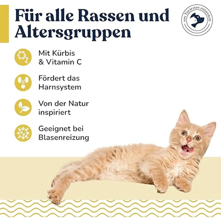 Felmo Blasen- & Nierenpaste für Katzen (100g), natürliche Unterstützung für Harnwege mit Kürbis und Vitamin C, zur Stärkung des Immun- und Harnsystems – Bild 3