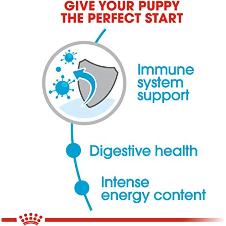 Royal Canin Mini Puppy, Trockenfutter für Welpen kleiner Hunderassen, 4.0 kg, Zahnsteinprophylaxe – Bild 5