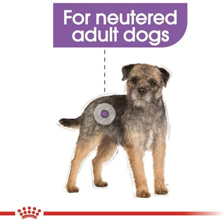 Royal Canin STERILISED MINI Trockenfutter für kastrierte kleine Hunde, 3 kg, Alleinfuttermittel für Hunde bis 10 kg – Bild 5