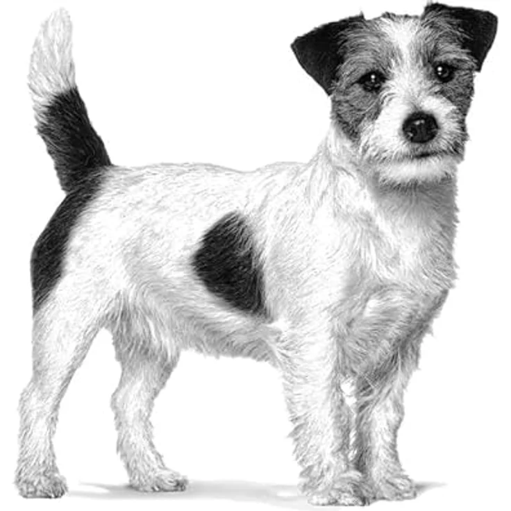 ROYAL CANIN Veterinary Satiety, Hundefutter für kleine Hunde zur Gewichtsreduktion, 3kg – Bild 4