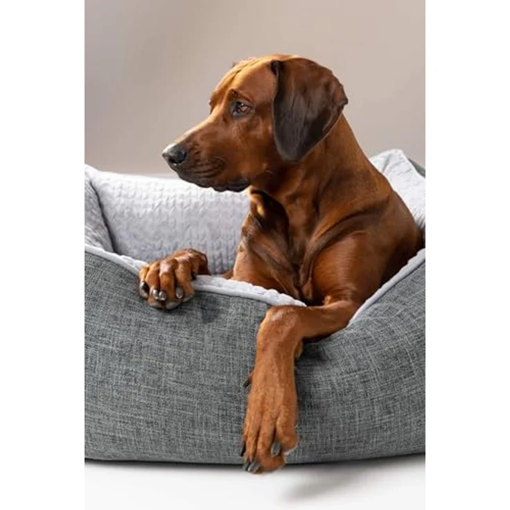 TrendPet VitaBed, Orthopädisches Hundebett mit 5cm Memofoam, abnehmbarer waschbarer Bezug, 120x100cm – Bild 3