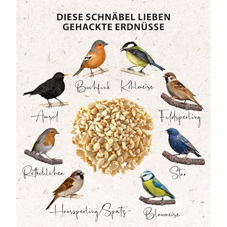 Dehner Natura Premium Wildvogelfutter, gehackte Erdnüsse schalenfrei, proteinreiches Ganzjahresfutter für Wildvögel, 3.4 kg – Bild 4