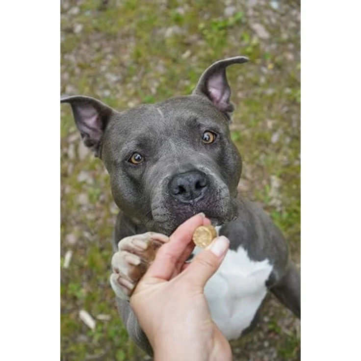 Bellfor Freiland-Schmaus Mini, getreidefreies Hundefutter für kleine Hunderassen mit Huhn, 7,5 kg – Bild 7