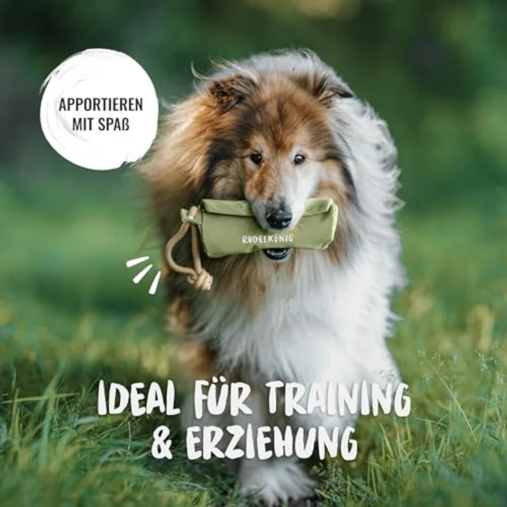 Rudelkönig Futterbeutel für Hunde, Robuster Apportierdummy für Leckerlies mit Klett- und Reißverschluss, strapazierfähig für jedes Futter – Bild 2