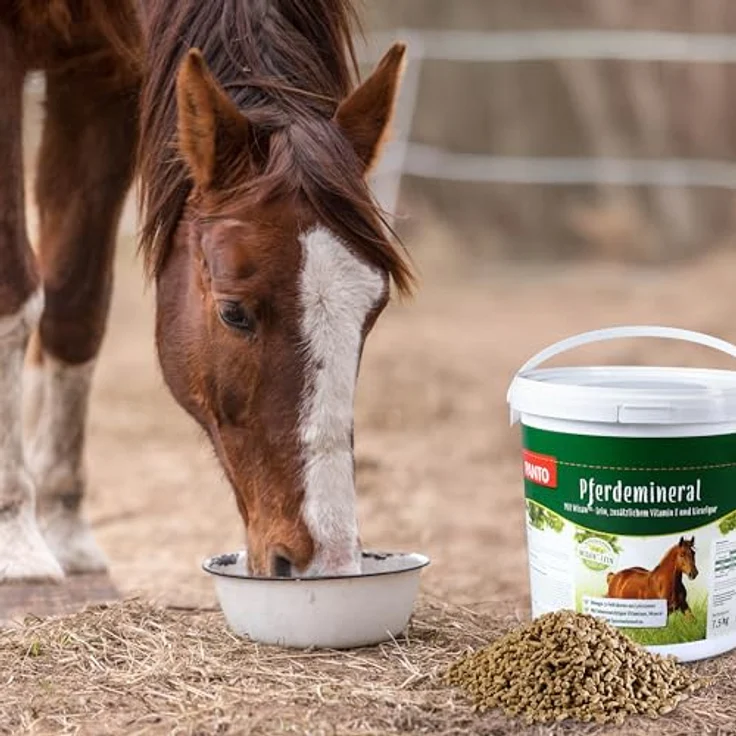 PANTO Pferdemineral mit Wisan-Lein, 7,5 kg - schmackhaftes Pferdefutter, reich an Mineralien, Vitaminen, Spurenelementen und Omega-3-Fettsäuren – Bild 3