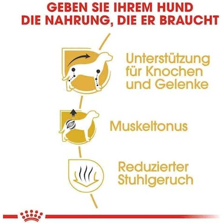 Royal Canin Chihuahua Adult 500 g, Trockenfutter für ausgewachsene Chihuahuas mit optimaler Stuhlqualität und Zahngesundheit – Bild 5