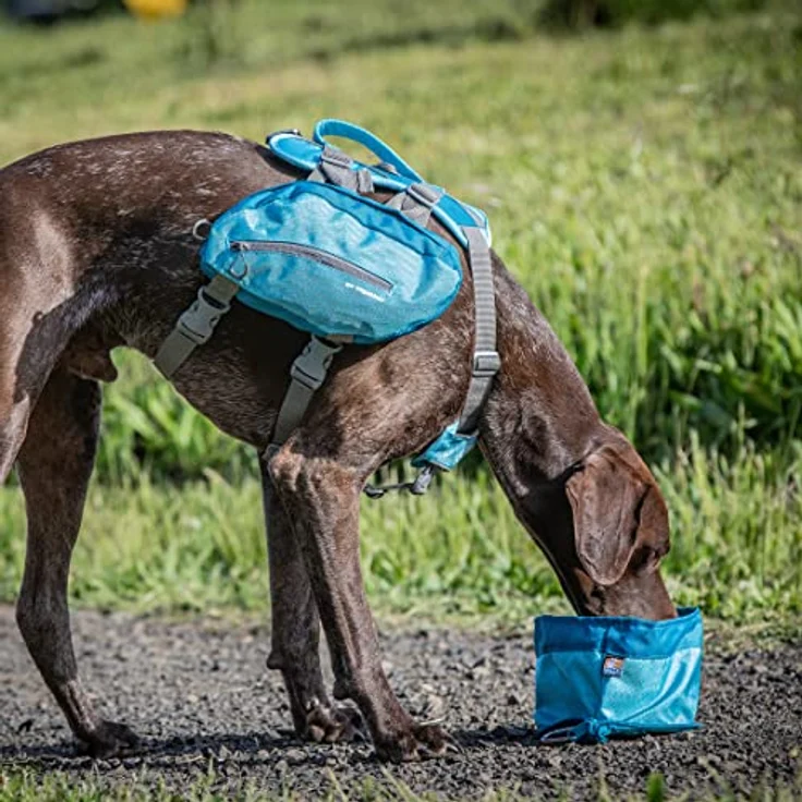 Kurgo zusammenklappbarer Futter- und Wassernapf für Hunde, mit Karabinerhaken, 1,4 L Kapazität, blau, PVC- und BPA-frei – Bild 5