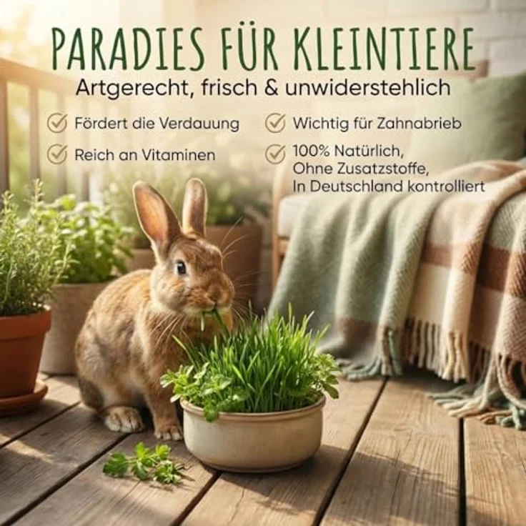 HappySeed Kaninchenwiese Samen, 100g Saatgut für vitaminreiche Ernährung von Kaninchen und Kleintieren, Pflegeleicht und ganzjährig anbauend – Bild 2