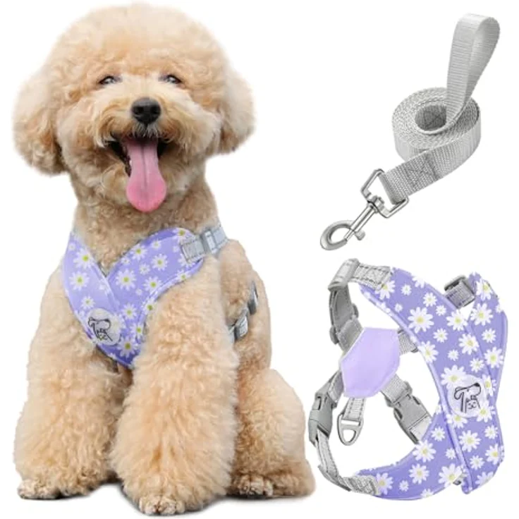 Pawaboo X-Rahmen Hundegeschirr mit Leine Set, Verstellbares Anti-Zug Anti-Erstickung Brustgeschirr für Kleine und Mittelgroße Hunde, M, Violette Gänseblume – Bild 1