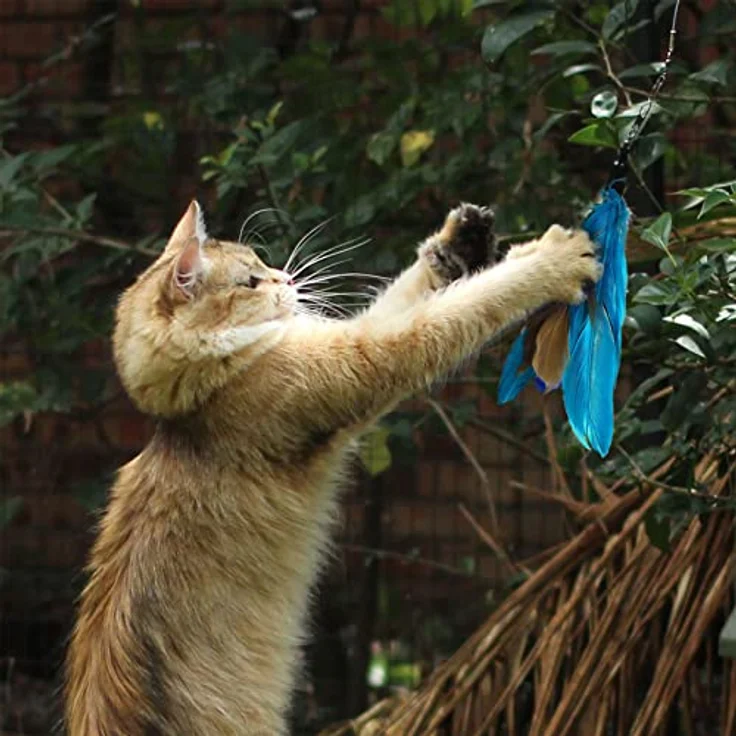onebarleycorn Katzenspielzeug Set, Katzenangel mit 1 teleskopierbarem Stab und 8 Ersatzfedern, ungiftig und langlebig – Bild 3