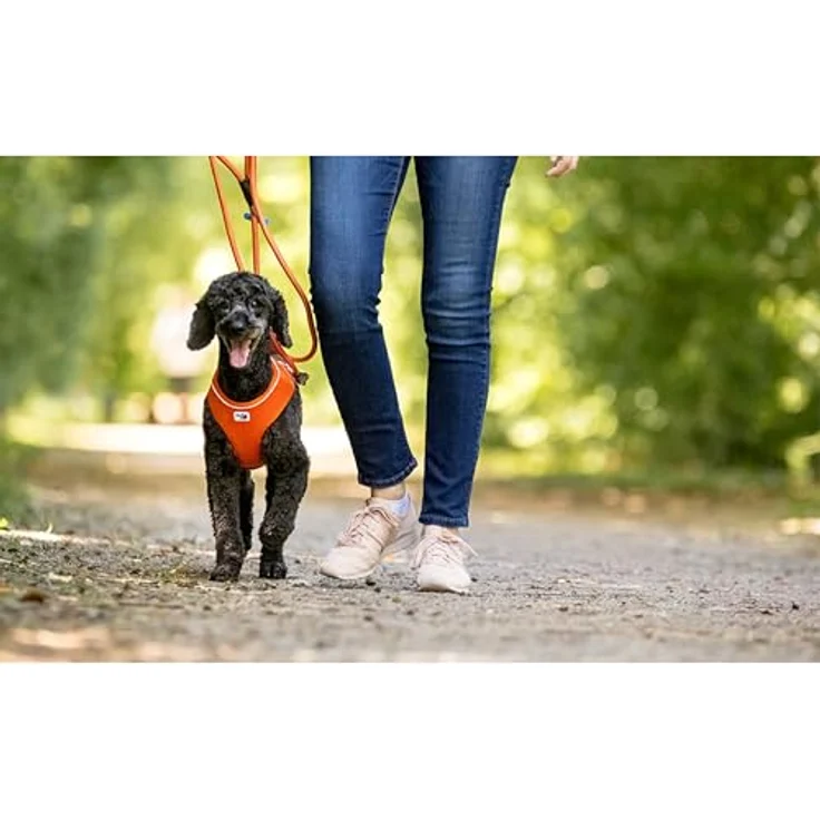 Curli Hunde-Geschirr Basic Air-Mesh skyblue, verstellbarer Brustgurt, reflektierender Saum – Bild 5