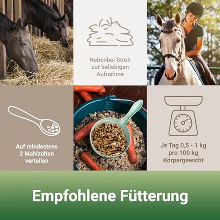 PANTO Formel A Pferdefutter 25 kg – Allroundpellet für Krippenfütterung, 5mm Pelletfutter mit wichtigen Vitaminen & Spurenelementen – Bild 4