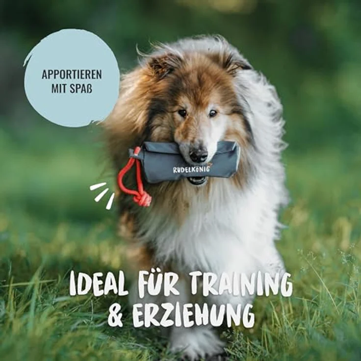 Rudelkönig Futterbeutel für Hunde, robuster Apportierdummy mit Klett- und Reißverschluss, für Nass- und Trockenfutter, hundetraining optimiert – Bild 2